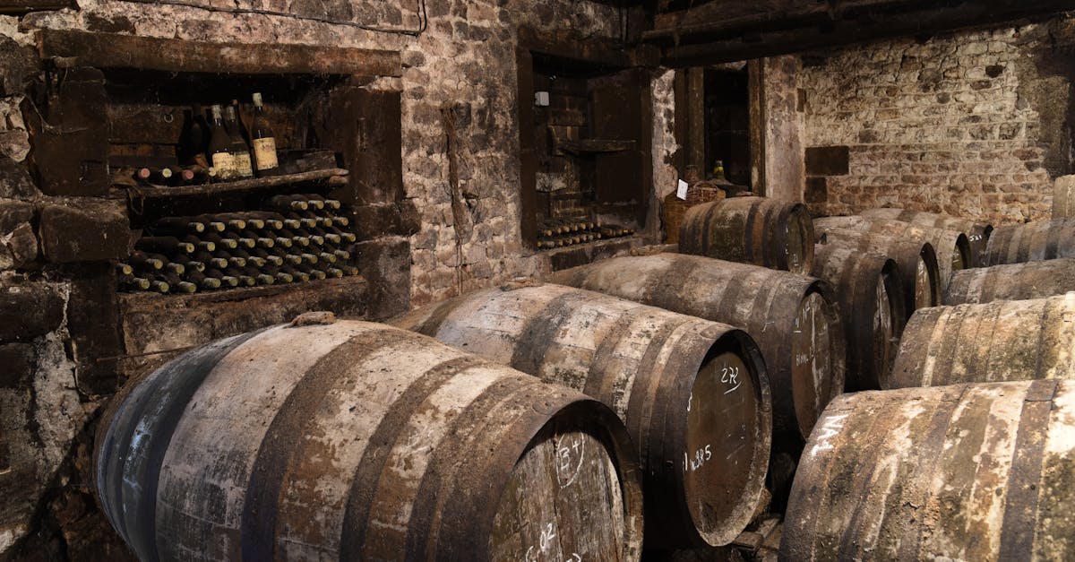 découvrez nos conseils pratiques pour organiser votre cave efficacement et optimiser l'espace de stockage de vos vins et provisions.
