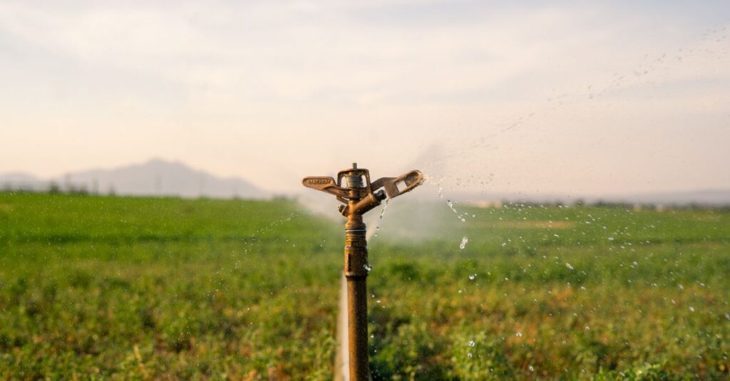 découvrez des conseils pratiques et des stratégies efficaces pour la conservation de l'eau, afin de préserver cette ressource précieuse et protéger notre environnement.