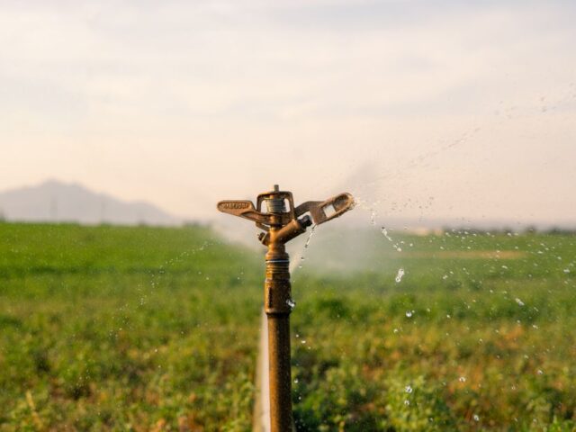 Astuces pour limiter l’eau consommée au quotidien